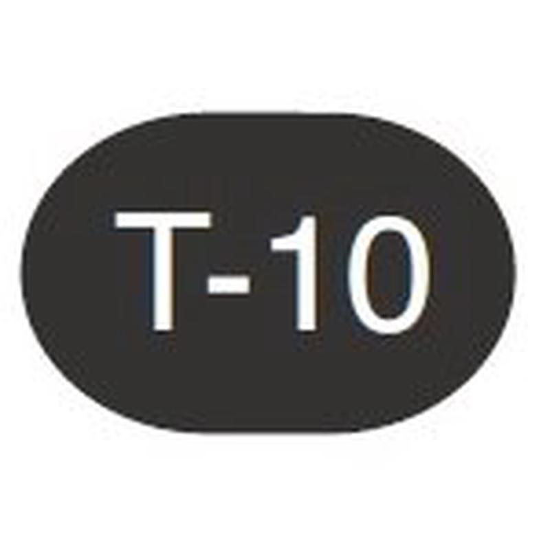 Copic Sketch Marker T10 Toner Gray 10